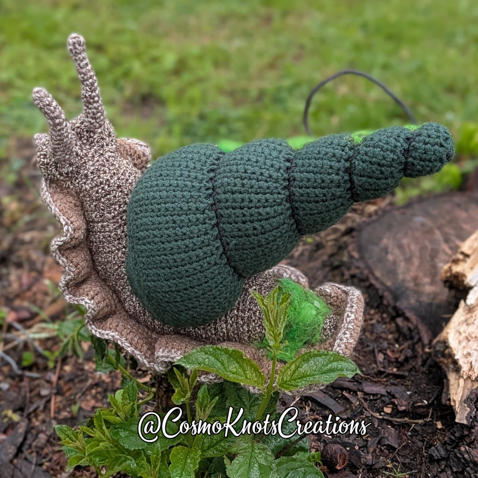 Giant Sensory Snail