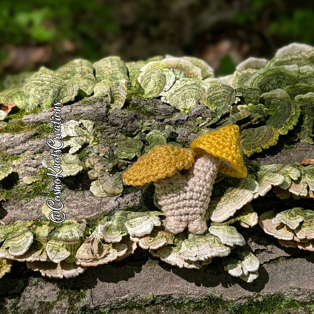 Mushroom Sprouts