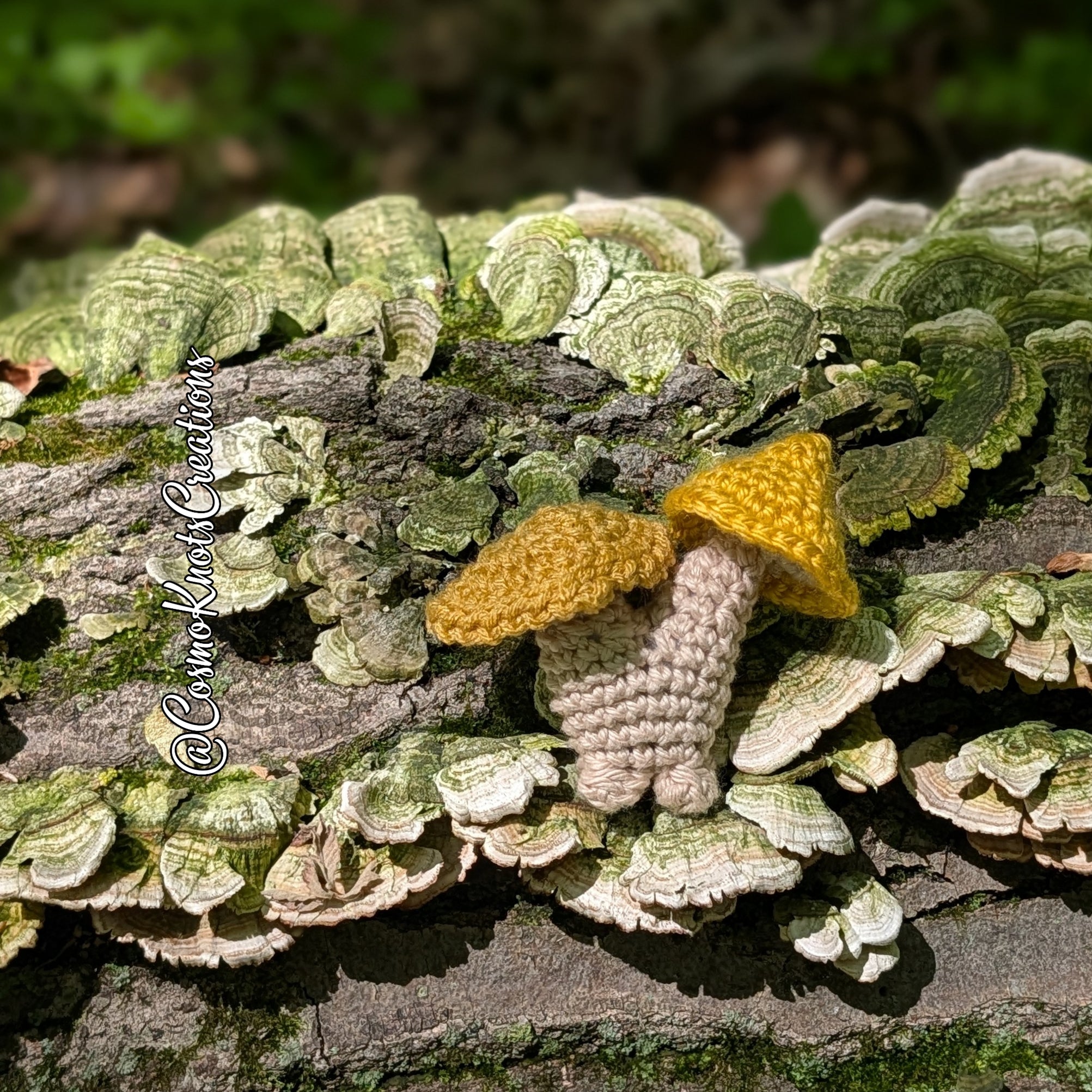 Mushroom Sprouts