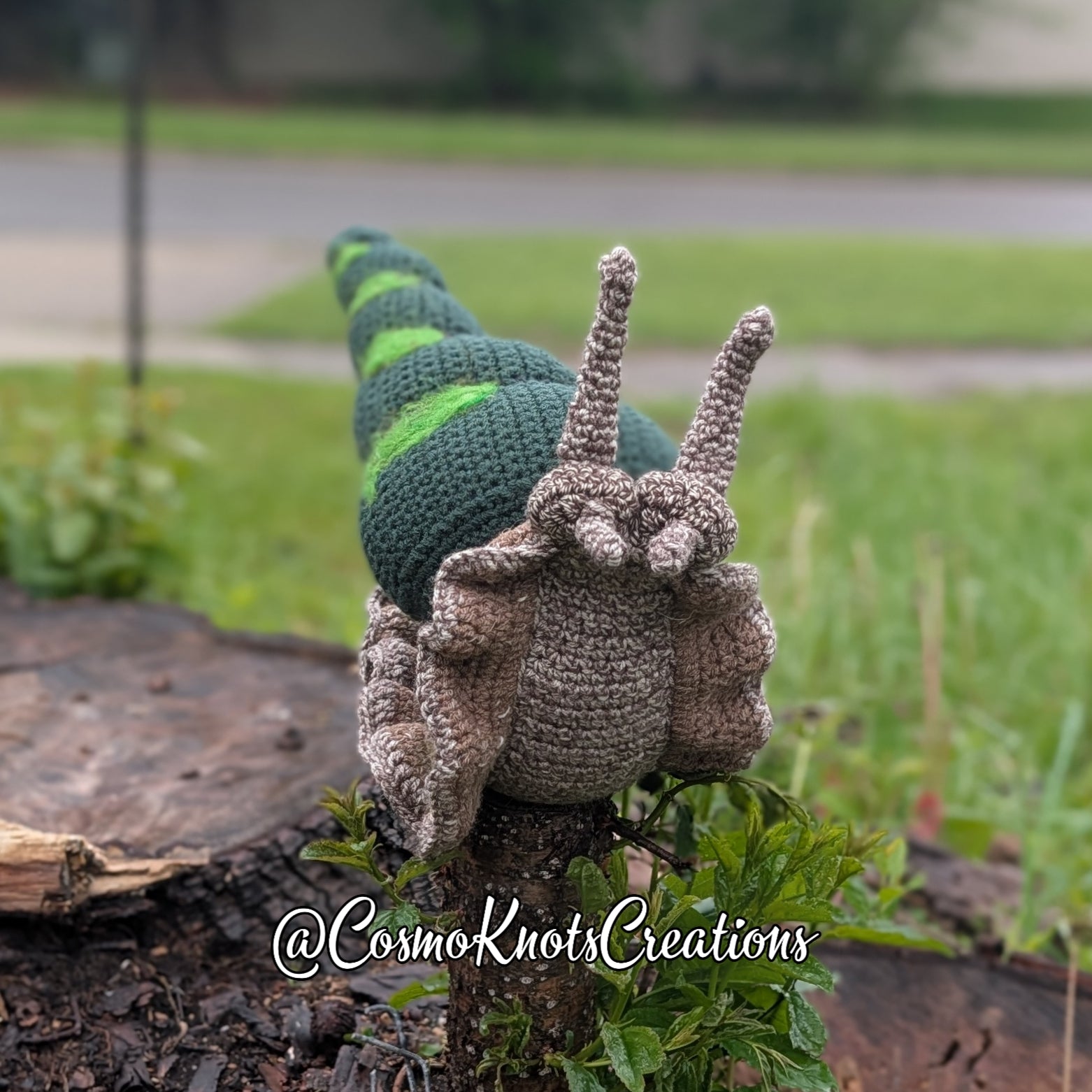 Giant Sensory Snail