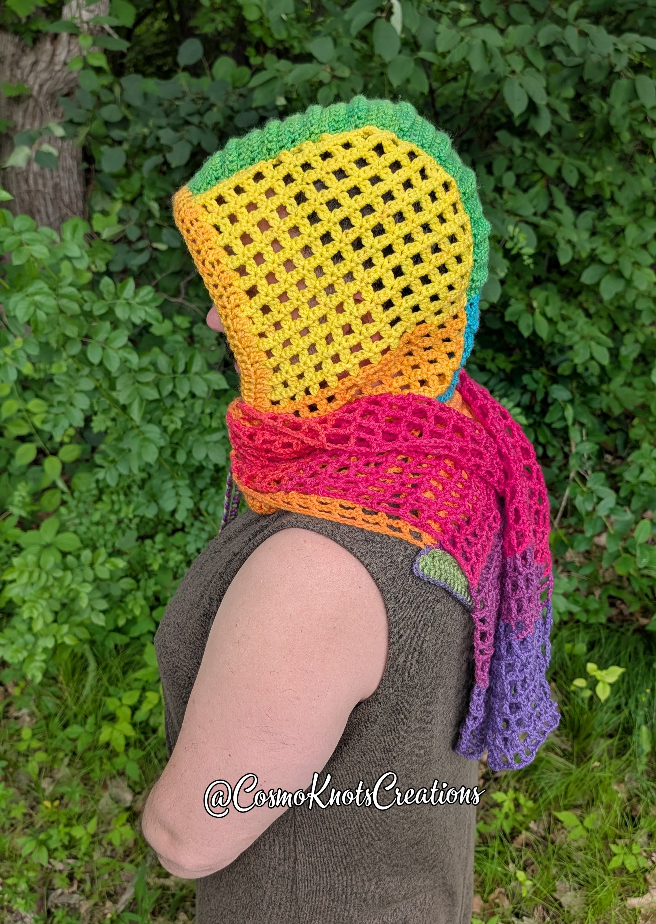 Pride Hooded Scarf