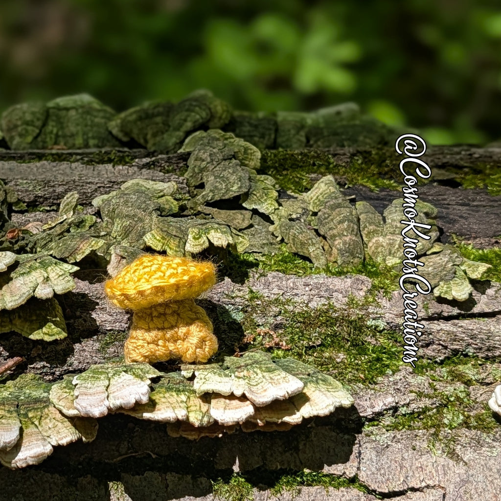 Mushroom Sprouts