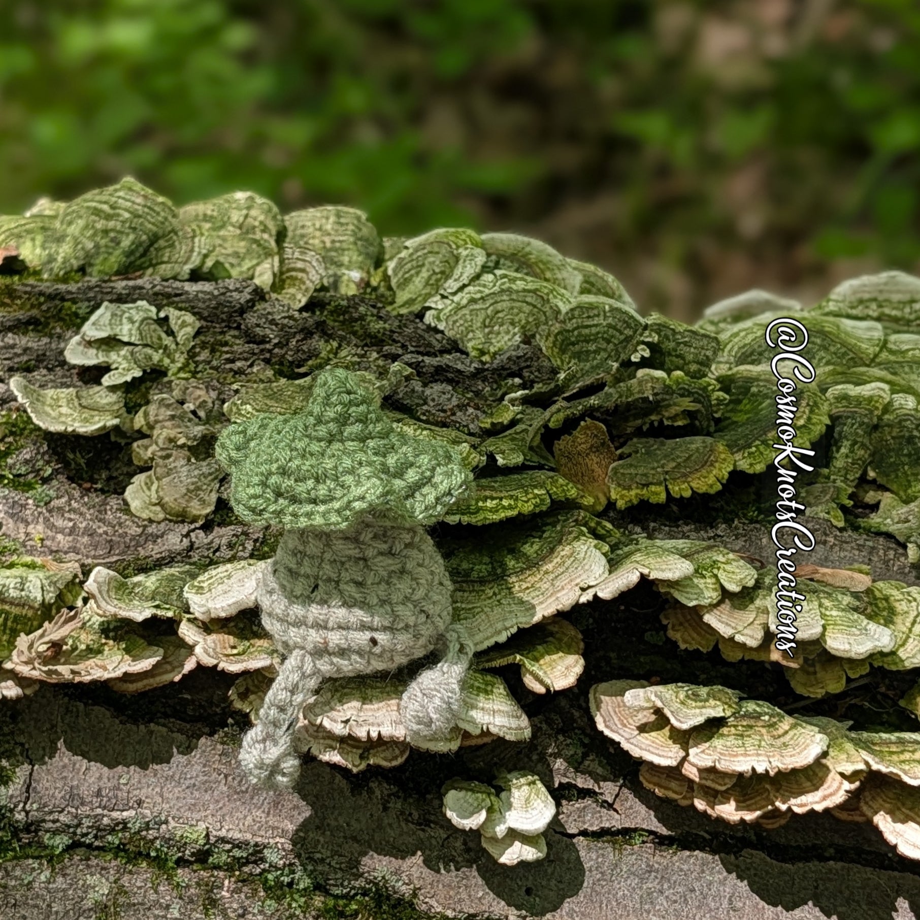 Mushroom Sprouts